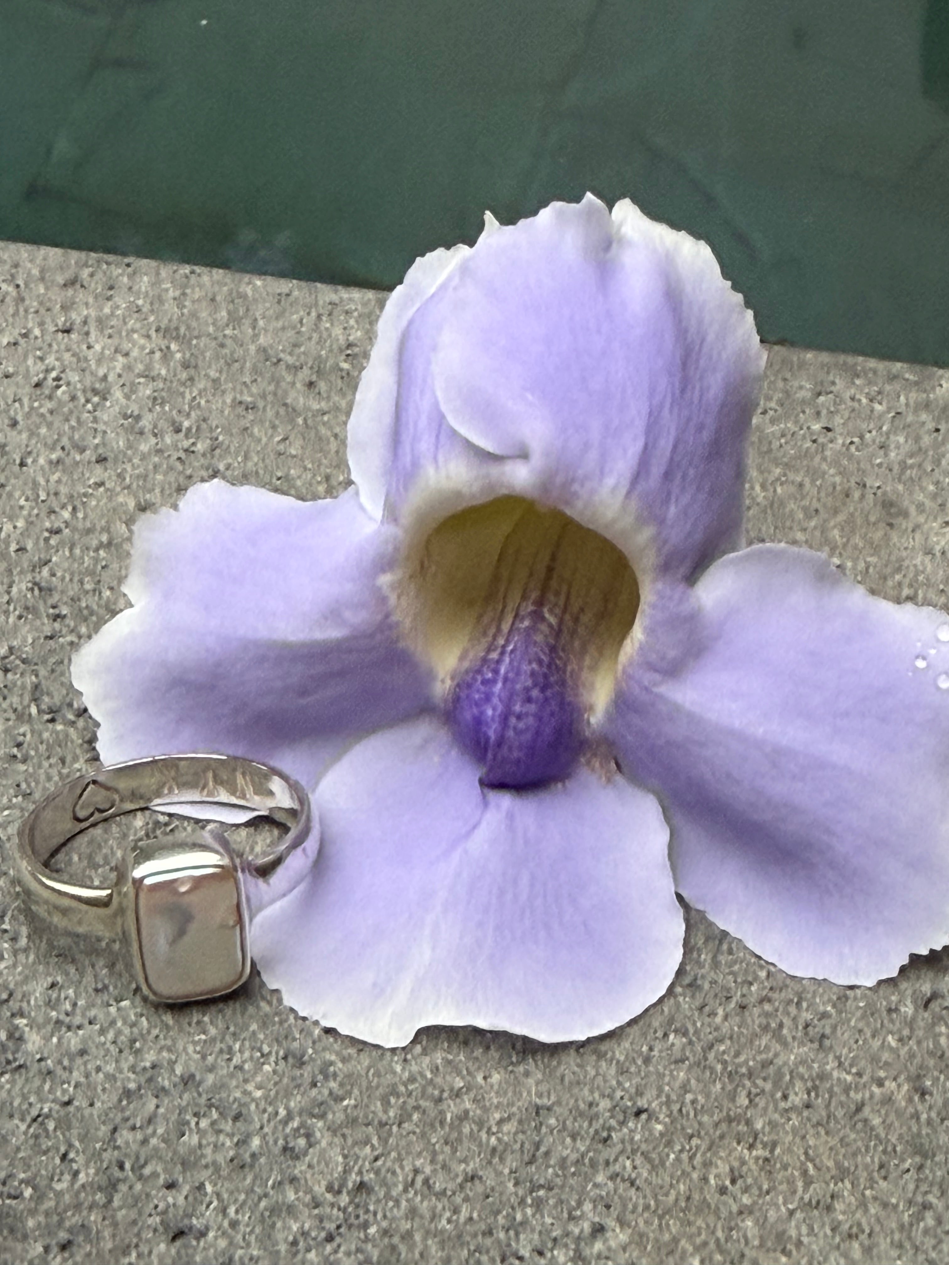 Purple flower with a silver ring on a concrete surface